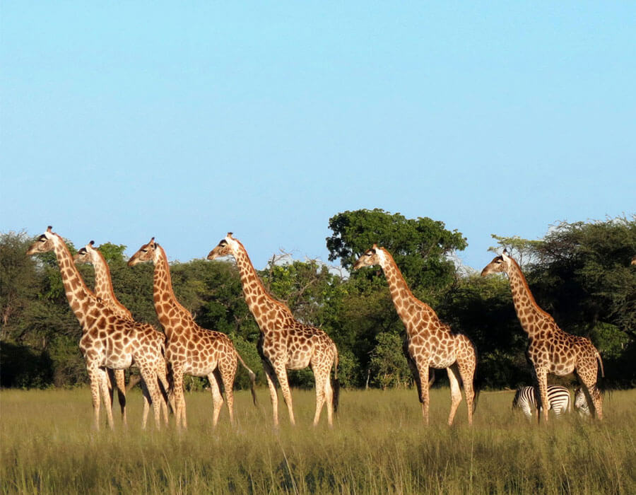 African holiday
