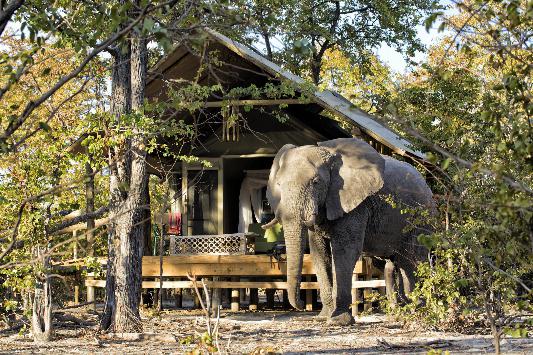 Affordable Victoria Falls and Botswana Thumbnail