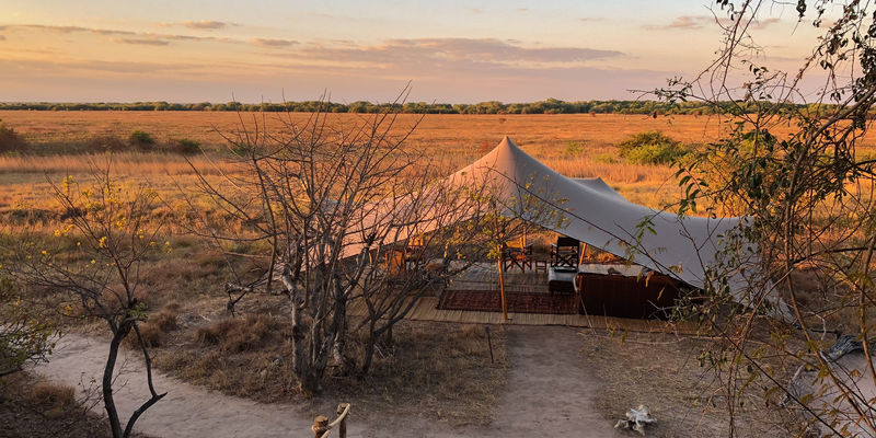 Classic Zambia - Ntemwa Busanga Camp