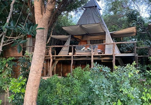   Green Safaris - Shawa Luangwa Camp