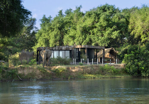 African Bush Camps - Lolebezi