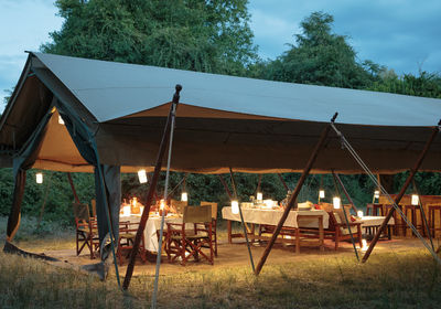The Main area tent