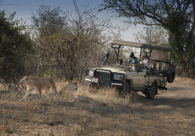 Game Drive
