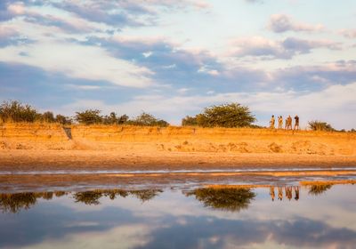 Walking Safari