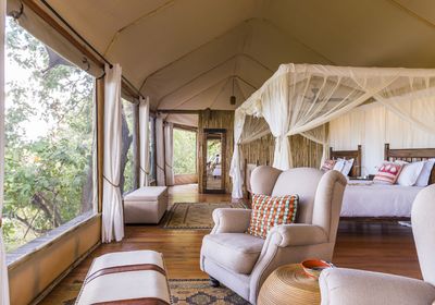 Amanzi Tent Interior and View