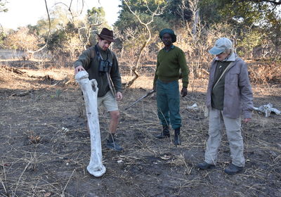Walking Safari
