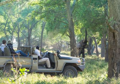 Game Drive