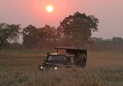 Game Drive