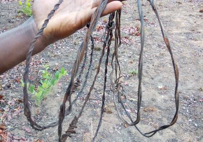 Snare Wire