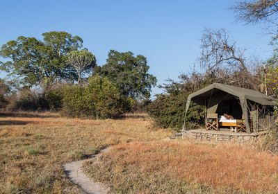 Tent Exterior