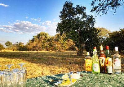 Open Air Bar