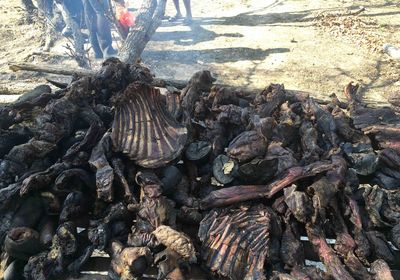 Burnt out Carcasses