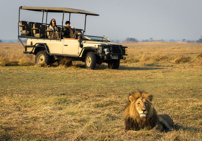 Game Drive