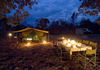 Dining under the Stars