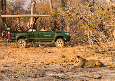Game Drive
