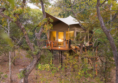 Tent Exterior