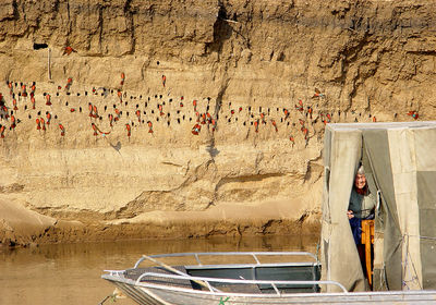 Carmine Bee Eater Hide