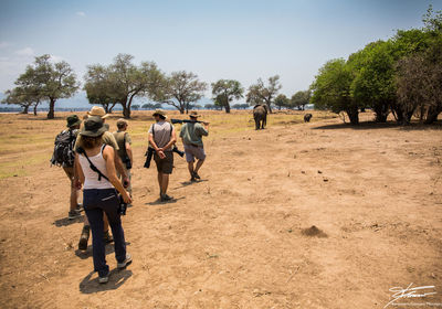 Walking Safari