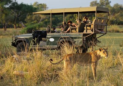 Game Drive