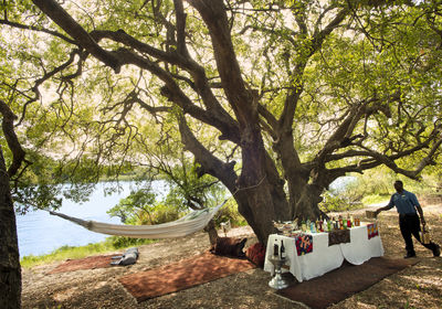 Picnic