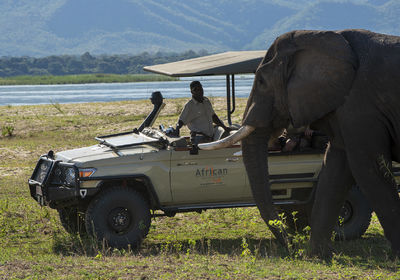 Shoreline Game Drive