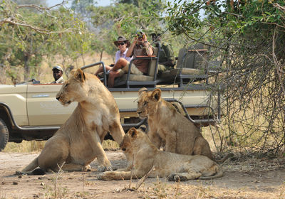 Game Drive