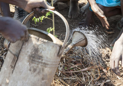 Conservation and Planting