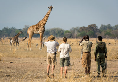 Walking Safari