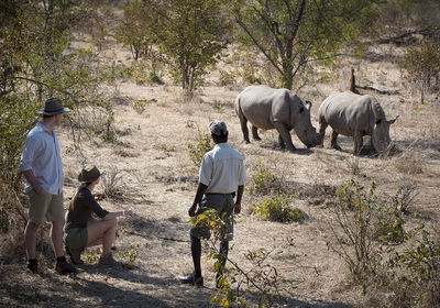 Rhino Tracking